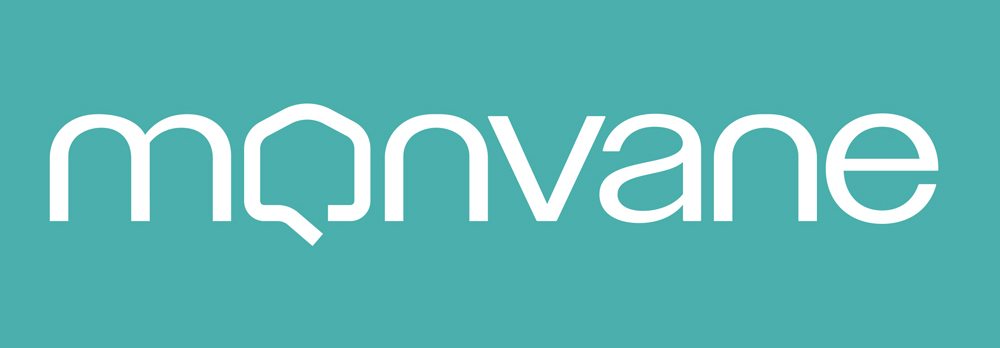 MONVANE Furniture & Home Products — Couches & Bags